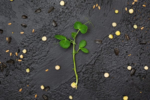 What's the Latest in Microgrid Technology for Renewable Energy in the UK?